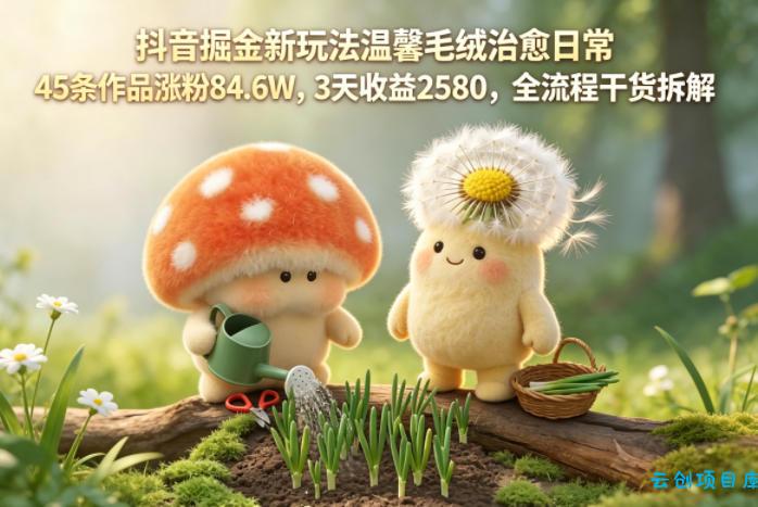 抖音掘金新玩法温馨毛绒治愈日常，45条作品涨粉84.6W，3天收益2580，全流程干货拆解-云创项目库