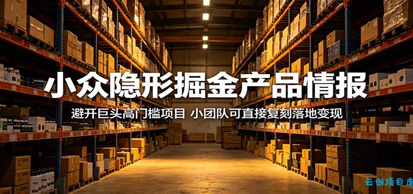 小众隐形掘金产品情报：避开巨头高门槛项目，小团队可直接复刻落地变现-云创项目库