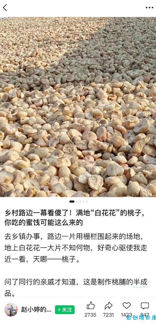 公众号小绿书贴图项目，赚收益实操玩法，听话照听话照少走90%弯路丨副业可做