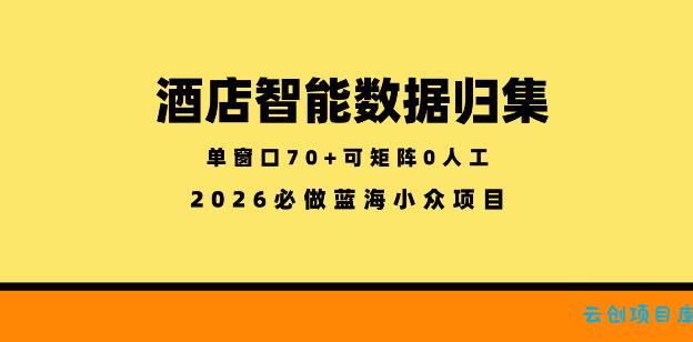 酒店智能数据归集，小众蓝海已经稳定半年之久，单窗口70+零成本矩阵开干【揭秘】-云创项目库
