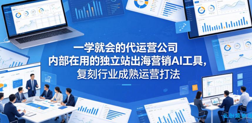 一学就会的代运营公司内部在用的独立站出海营销AI工具，复刻行业成熟运营打法-云创项目库