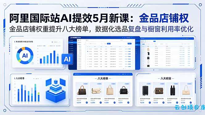 阿里国际站AI提效5月新课：金品店铺权重提升八大榜单，数据化选品复盘与橱窗利用率优化-云创项目库