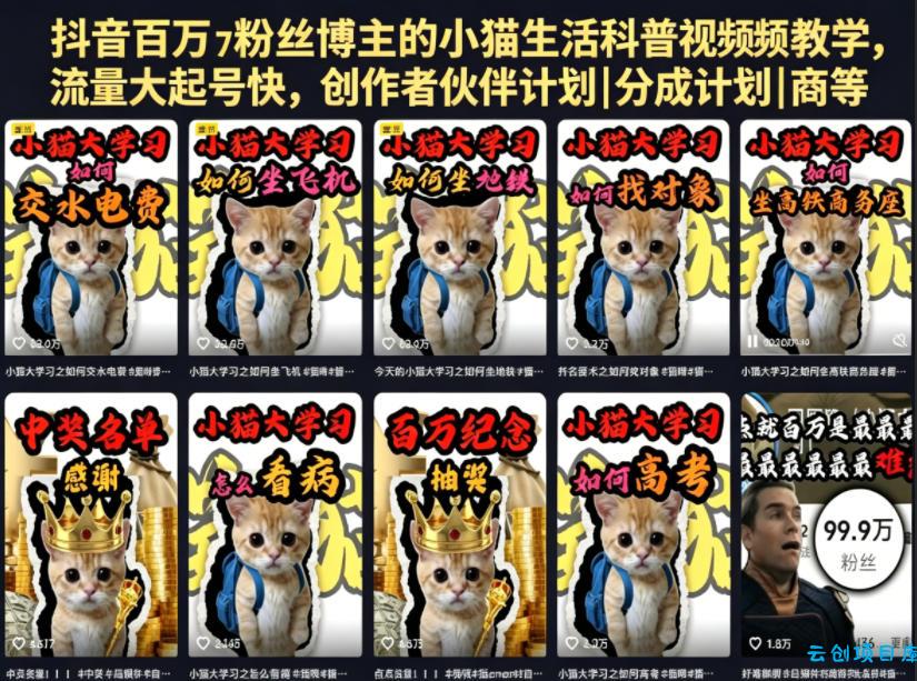 抖音百万粉丝博主的小猫生活科普视频教学，流量大起号快，创作者伙伴计划|分成计划|商单|收徒等-云创项目库
