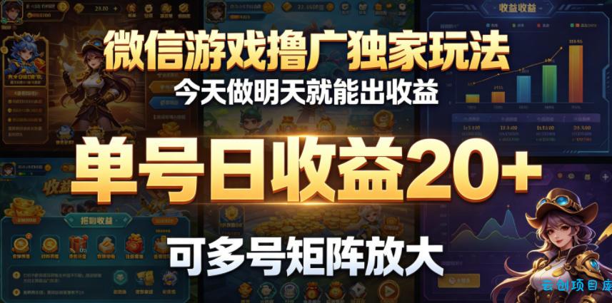微信游戏撸广独家玩法，今天做明天就能出收益，单号日收益20+，可多号矩阵放大-云创项目库