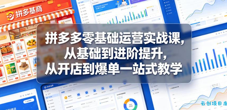拼多多零基础运营实战课，从基础到进阶提升，从开店到爆单一站式教学-云创项目库