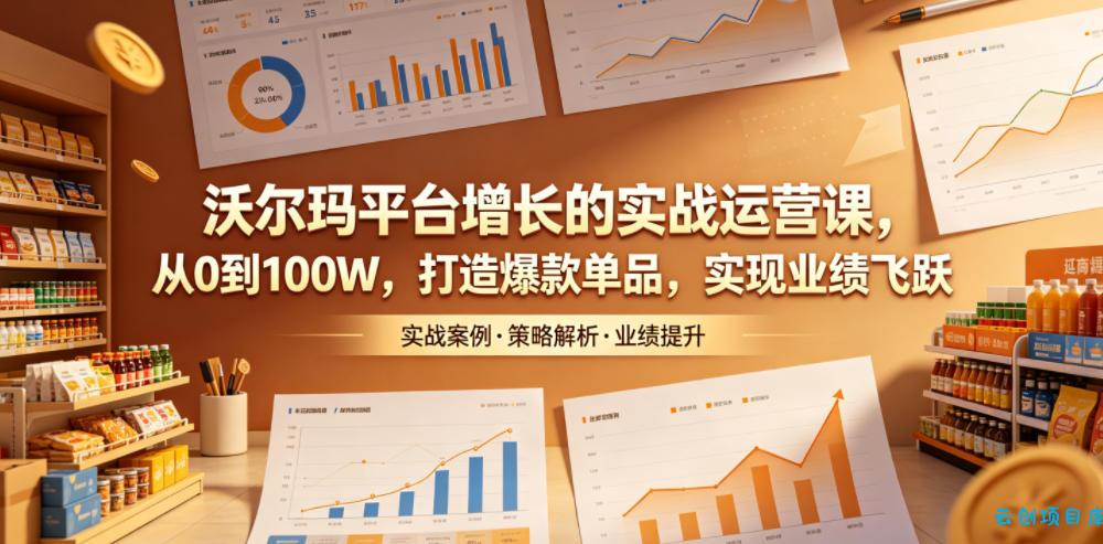 沃尔玛平台增长的实战运营课，从0到100W，打造爆款单品，实现业绩飞跃-云创项目库