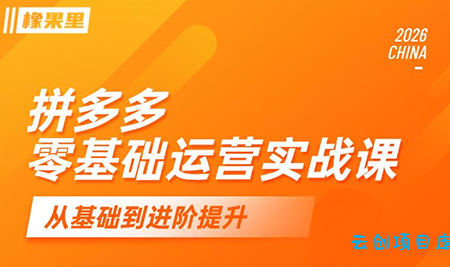 仙道电商·拼多多零基础运营实战课-云创项目库