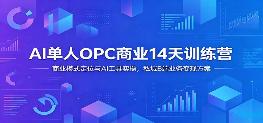 AI单人OPC商业14天训练营：商业模式定位与AI工具实操，私域B端业务变现方案-云创项目库