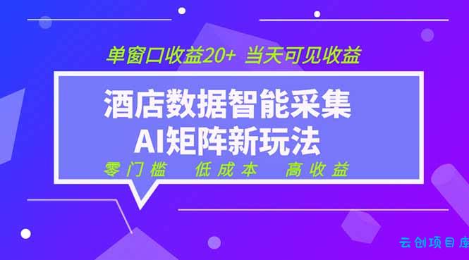 2026酒店数据采集ai智能矩阵新风口  低成本   高收益   当天见收益   单窗口20+-云创项目库