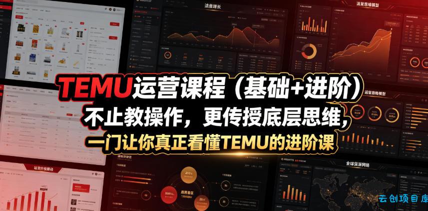 TEMU运营课程(基础+进阶)，不止教操作，更传授底层思维，一门让你真正看懂TEMU的进阶课-云创项目库